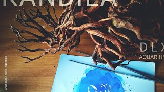 unboxing - akuarium dari DLX, Hikari dan Kandila, kayaknya kita akan bikin vivarium lurr....