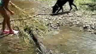 preview picture of video 'Isobel and Aida in the Catherine Creek'