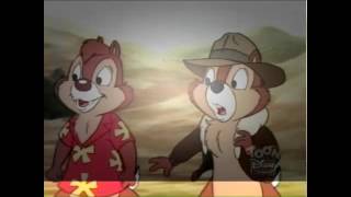 Chip &#39;n Dale Rescue Rangers   229   Shell Shocked