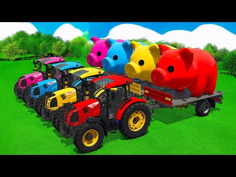 TRANSPORT GIANT PIGS AND LOAD LAVENDER BALES WITH FENDT TRACTORS - FS25