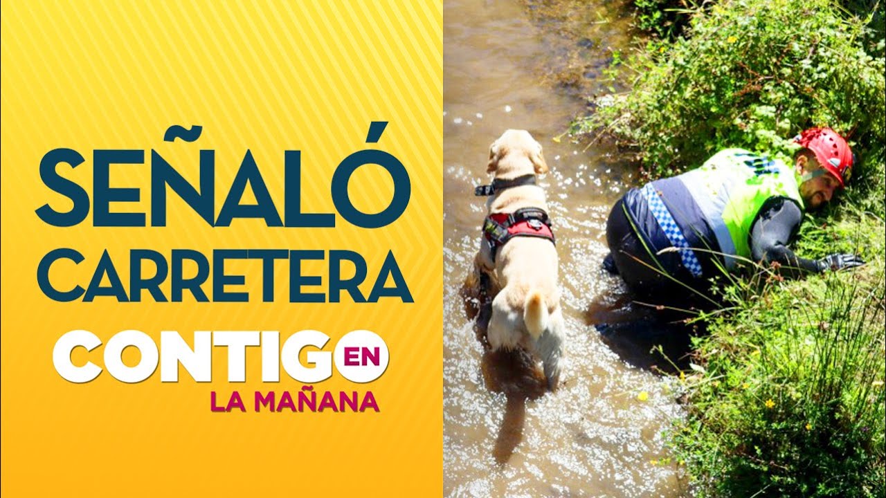 "NO LO PODÍA CREER": Tía de Tomás Bravo reveló actuar de perro adiestrado en búsqueda del niño