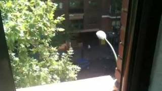 Habitación cerca del retiro en Madrid en alquiler.