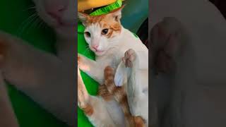 Download lagu dil hoom hoom kare #shorts #viral #pubg #ytshorts #reels #short #trending #funny #love #status #vlog mp3