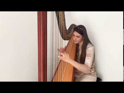 Ia tot ce sunt // Harp Cover by Sabina Bursuc