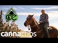 Inside Montana's Largest Cannabis Grow: 100% Organic Living Soil at Scale