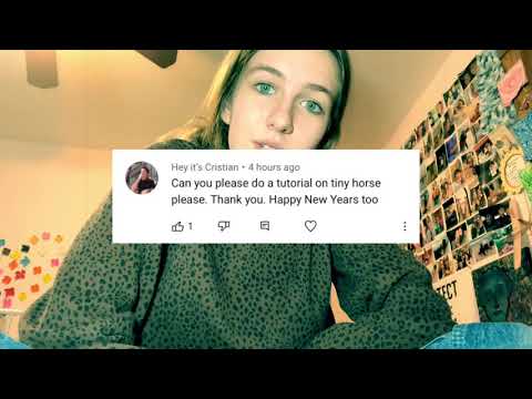 Tiny Horse - Timothée Chalamet