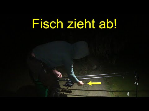 Night fishing in autumn for eel and zander with bait and earthworm! With live bite!