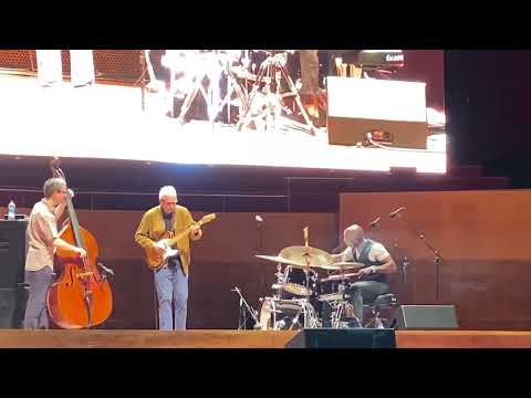Chicago Jazz Fest 2022 Bill Frisell