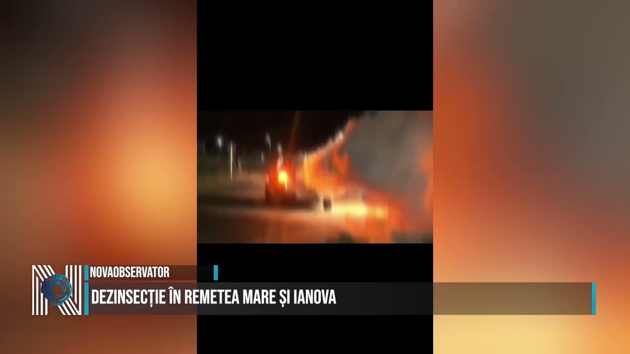 Dezinsecție în Remetea Mare și Ianova
