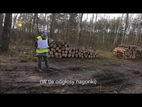 warszawiacy przeciw myśliwym