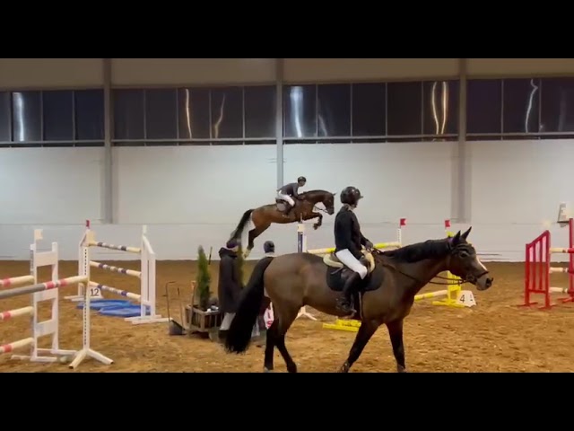 CRESCENDO VON SEEDER Father of Casino von Seeder