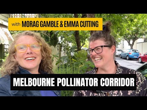 Melbourne's Pollinator Corridor: Garden-by-Garden Greening