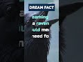 This Is What Dreaming Of A Raven Means #dream #facts #animals #shorts