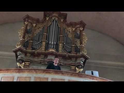 Judith Christ - Die Rose 🌹