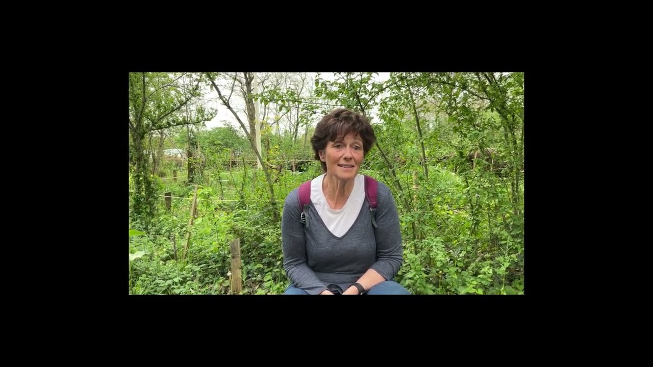L’interview des adhérents… la forêt-jardin…Utopie ou vraie solution?