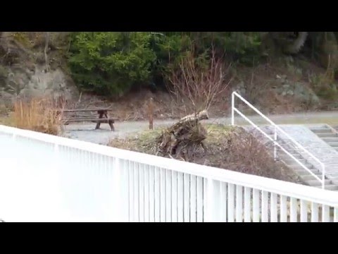 Stempelstelle 53 Hassel Vorsperre - Harzer Wandernadel