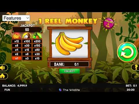 1 Reel Monkey – Video Gameplay