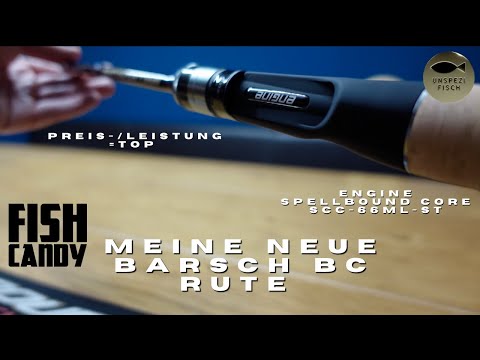 Meine neue Barsch Baitcast Rute -Engine Spellbound Core SCC-66ML-ST-