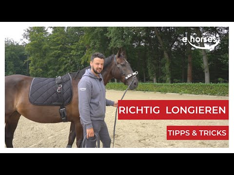 Longieren - Hilfreiche Tipps & Tricks bei der Longenarbeit