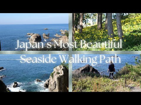 Japan Beautiful Seaside Walking Path