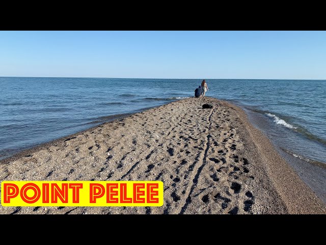 İngilizce'de point pelee Video Telaffuz