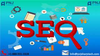 Get Best SEO Services in USA by PNJ Sharptech