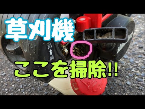 芝刈り機の掃除: 最良のヒント トピックス