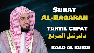 Download lagu سورة البقرة بالترتيل السريع - الشيخ رعد الكردي | Surat Al-Baqarah tartil cepat mp3 Download lagu سورة البقرة بالترتيل السريع - الشيخ رعد الكردي | Surat Al-Baqarah tartil cepat mp3