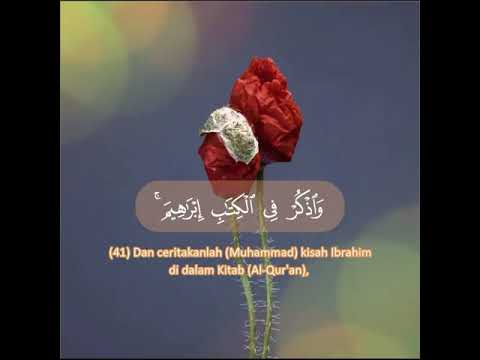 Tareq Muhammad #flower