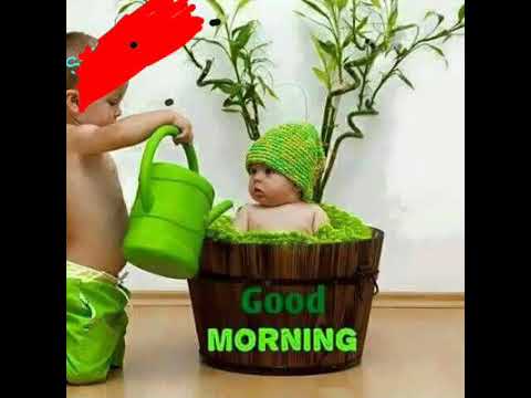 Good morning from saket