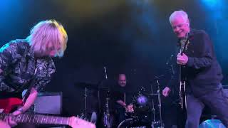 The Wedding Present - Catwoman (live)