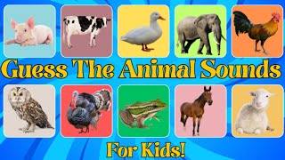 Learn Animal Sounds | Guess The Animal Sounds for Kids | Which Animal Makes This Sound? 🔊