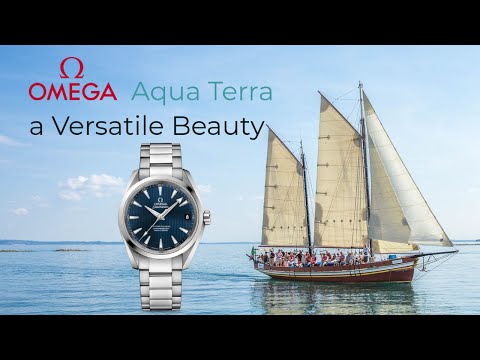 A Dive Into the Origins of the Aqua Terra