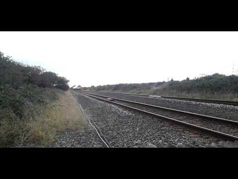 67014 and 82226 with a nice 2 tone