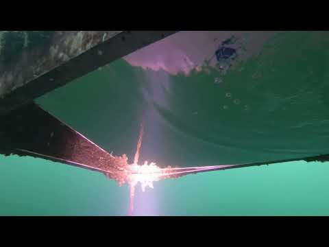 Tauchen im Zürichsee 25.05.24 ‐ Tauchplatz WZT Tiefenbrunnen