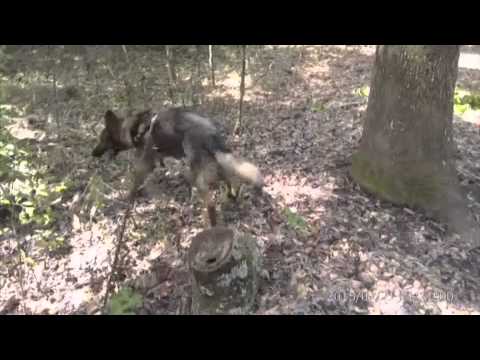 Proximity Alert, Wrong Direction