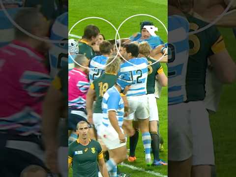 6ft 8 Etzebeth vs 6ft 7 Lavanini  😳#rugby