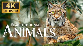 Planet of Jungle Animals 🐾 A Journey through Planet Earth's Wildlife 4K ULTRA HD