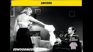 Angora