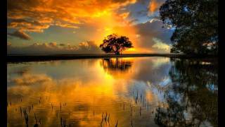 Bătea la Poarta Cerului O Rază (Amici Forever - Adagio)