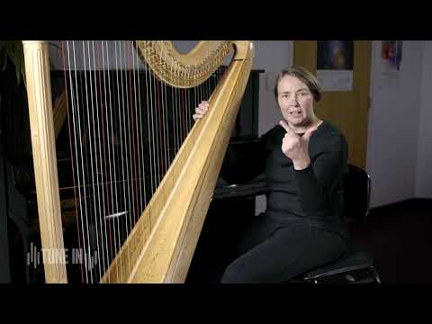 TSO TUNE IN - Learn about Harp Pedals