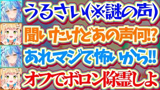 【※検証動画あり】今Xで話題の『ラミィの配信に"うるさい"と言う謎の声が入っている件』で、オフコラボでボロン除霊しようとするねねラミと巻き込まれるアキロゼw【ホロライブ切り抜き/雪花ラミィ/桃鈴ねね】