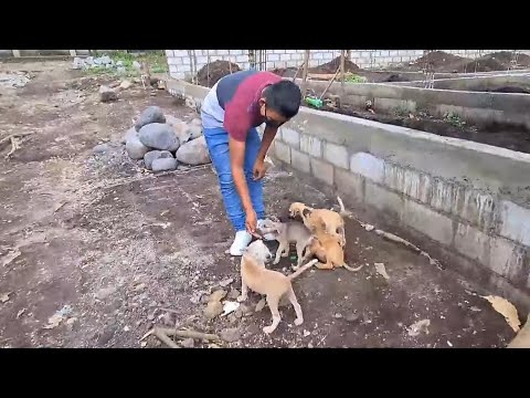 We brought food for Doña Blanca's dogs 😊🐶🐕