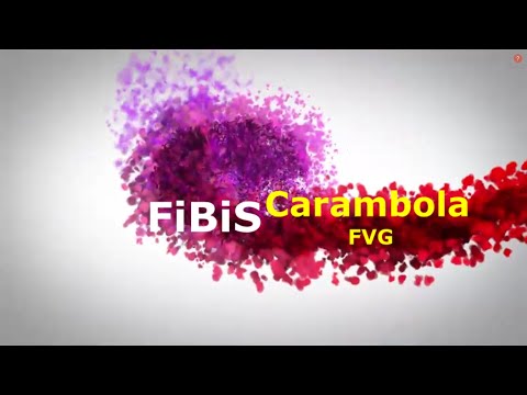 GAIOTTI F. vs MUTADZVIC M .