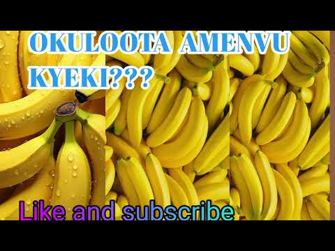 𝙾𝙺𝚄𝙻𝙾𝙾𝚃𝙰 𝙰𝙼𝙴𝙽𝚅𝚄 𝙺𝚈𝙴𝙺𝙸, 𝙾𝙱𝙰 𝙲𝙾𝙻𝙾𝚄𝚁 𝙴𝚉𝙰 𝚈𝙴𝙻𝙻𝙾𝚆 🟡???