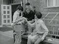 Till Der Junge Von Nebenan 1967 7 Der Große Freund