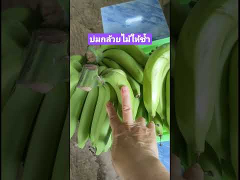 How to ripen bananas without bruising #bananas