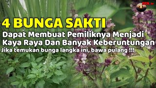 Download lagu Bunga Sakti Pembawa Keberuntungan Dan Kekayaan || Bunga Penarik Rezeki mp3