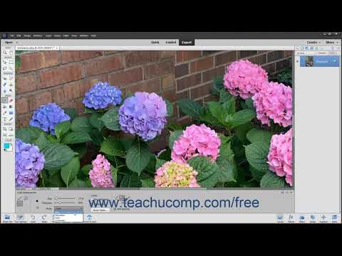 Photoshop Elements 2020 Tutorial The Color Replacement...