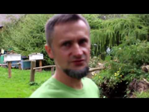 Krasnowo u Miodka - spacerkiem.